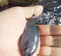 관리자메뉴이미지